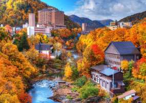 TOUR HOKKAIDO MÙA THU 7N6Đ BAY ALL NIPPON AIRWAYS
